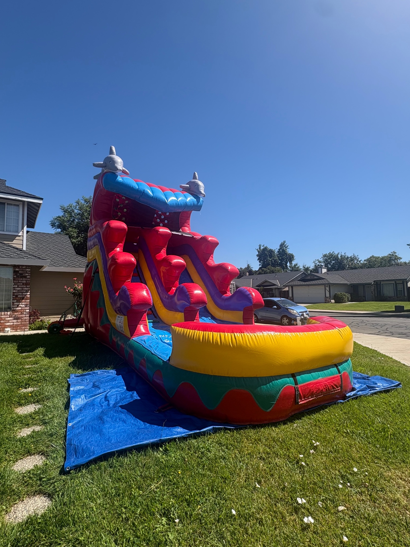 16ft Dolphin Wave Rider