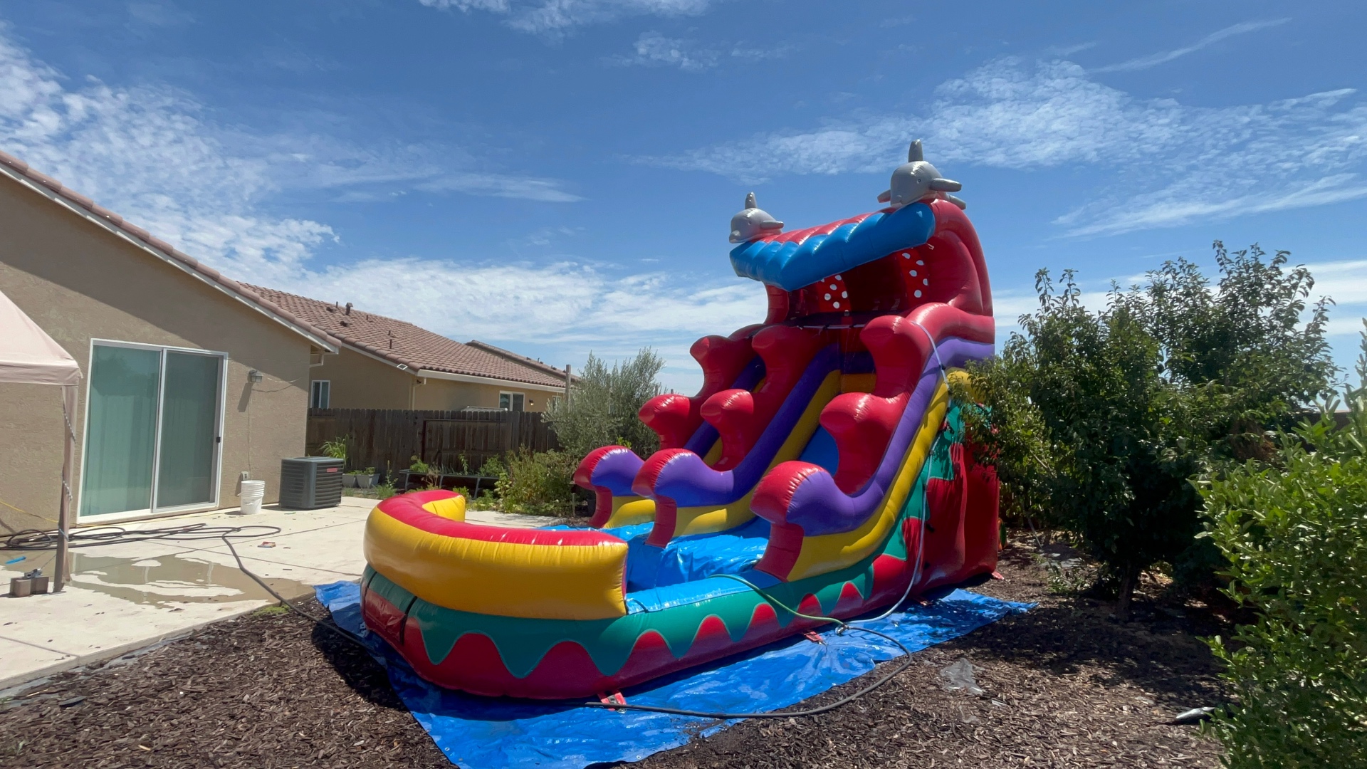 16ft Dolphin Wave Rider