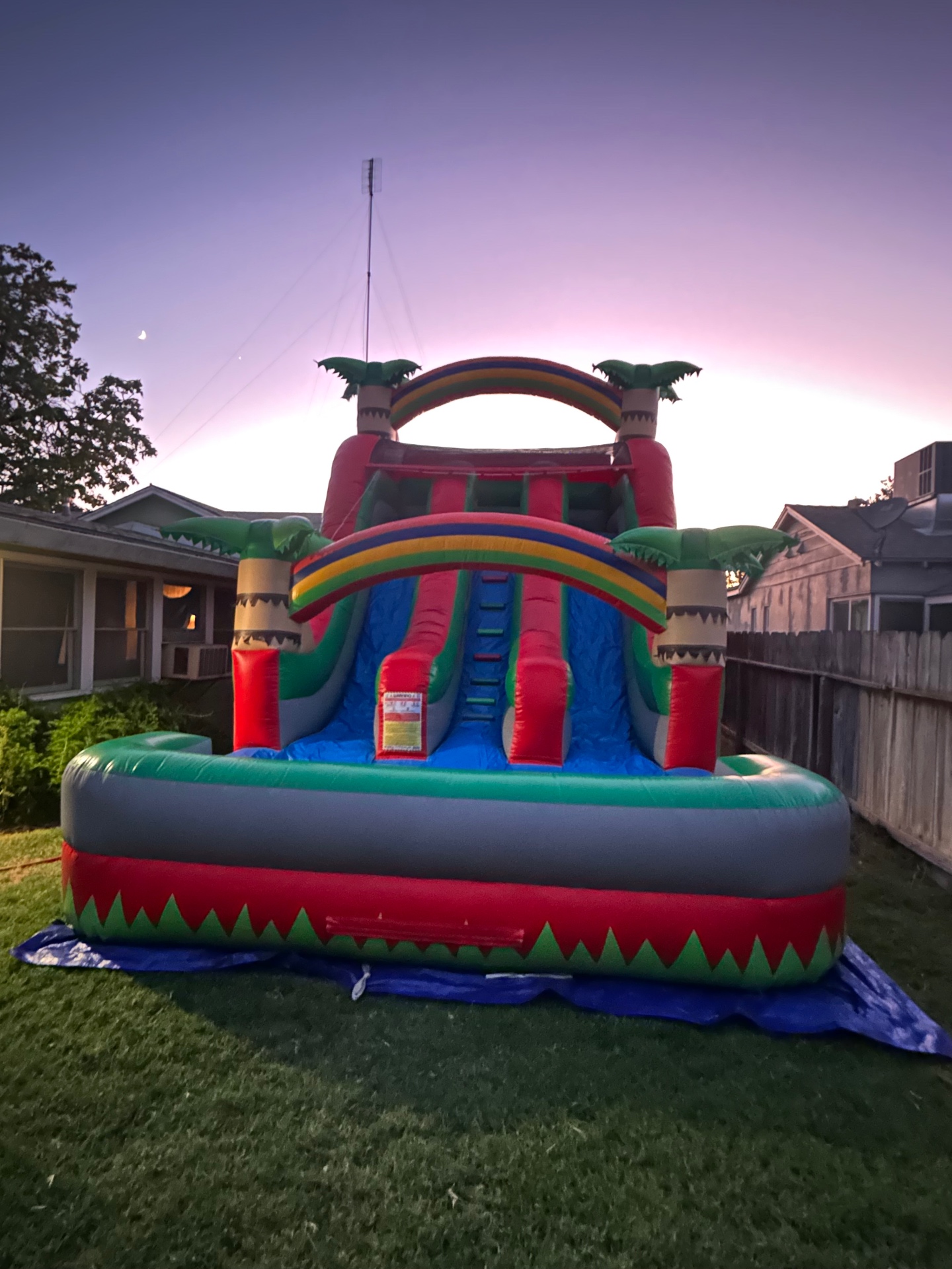 18ft Tropical Palm Double Blast Lane