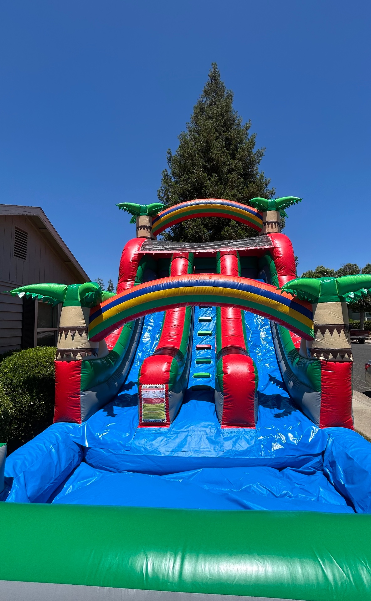 18ft Tropical Palm Double Blast Lane