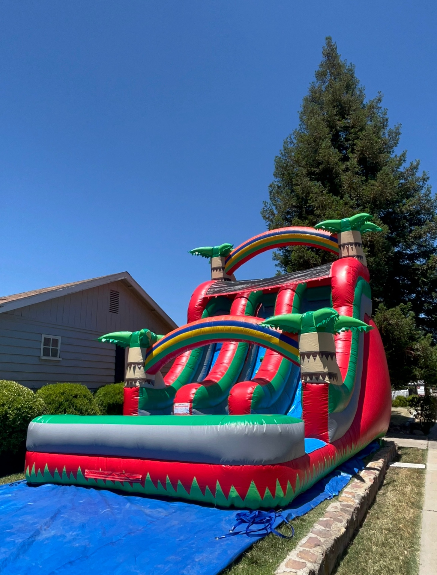 18ft Tropical Palm Double Blast Lane